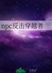 npc反击穿越者