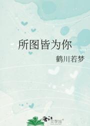 所图皆为你
