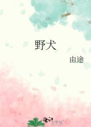 野犬