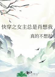 快穿之女主总是肖想我