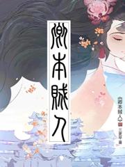 卿本贼人