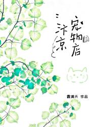 汴京宠物店