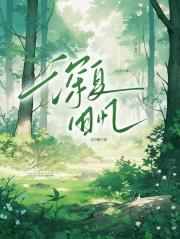 深夏旧忆