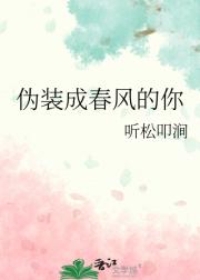 伪装成春风的你