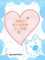 （海贼王）我只是想考公上岸啊喂！