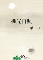 孤光自照