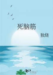死脑筋