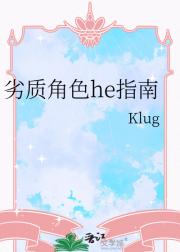劣质角色he指南