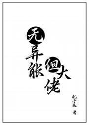 无异能，但大佬