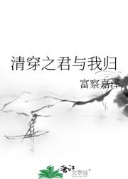 清穿之君与我归