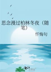 思念漫过柏林冬夜