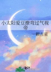 小太阳爱豆撩弯过气视帝