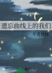 遗忘曲线上的我们