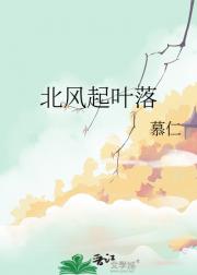 北风起叶落