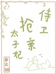侍卫抢亲太子妃。