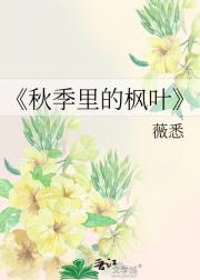 秋季里的枫叶