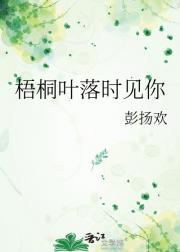 梧桐叶落时见你