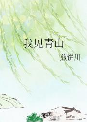 我见青山