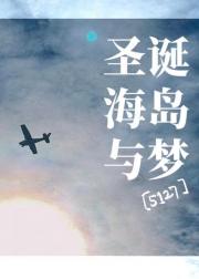 [家教短篇]圣诞，海岛，与梦