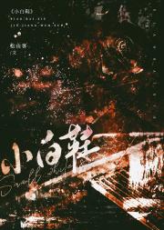 小白鞋[刑侦]