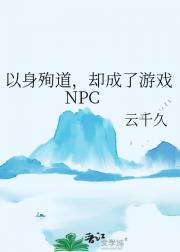 以身殉道，却成了游戏NPC