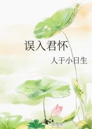 误入君怀