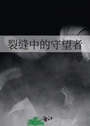 裂缝中的守望者