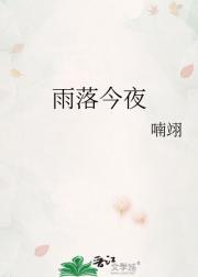 雨落今夜