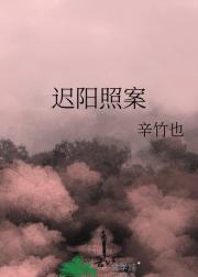 迟阳照案