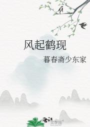 风起鹤现