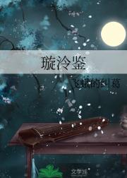 璇泠鉴