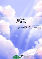 愿缘