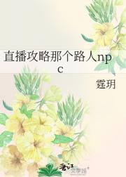 直播攻略那个路人npc