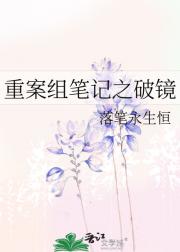 重案组笔记之破镜