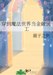 穿到魔法世界当金融民工