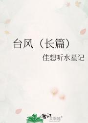 台风（长篇）