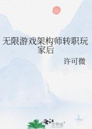 无限游戏架构师转职玩家后