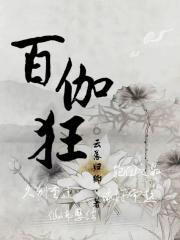 百伽狂
