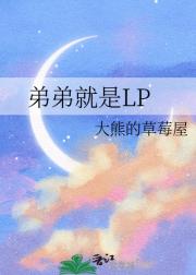 弟弟就是LP
