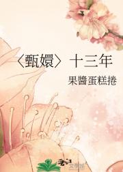 〈甄嬛〉十三年