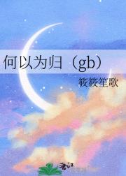 何以为归（gb）