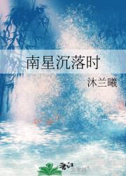 南星沉落时