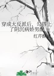 穿成大反派后,勾搭上了阴沉病娇男配