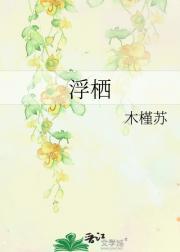 浮栖