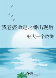 我老婆命定之番出现后