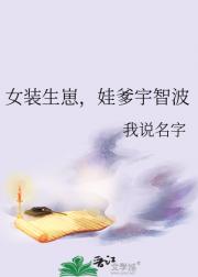 男孩子，但外挂是女装