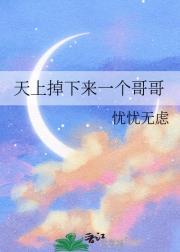 天上倒下来一个哥哥