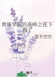 贵族学院的高岭之花下海了