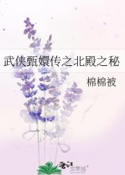 武侠甄嬛传之北殿之秘