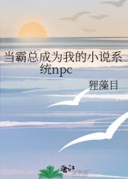 当霸总成为我的小说系统npc